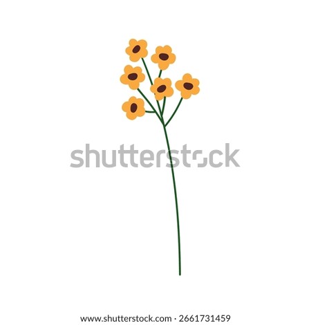 Spring field wildflower. Delicate meadow plant branch, thin gentle stem with wild flower cluster. Summer blooming floral herb. Botanical decor. Flat vector illustration isolated on white background