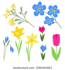 Spring first blooming in a garden flower, pink tulip, crocus, yellow mimosa, daffodil, dandelion, royal blue myosotis. Hand drawn set of floral illustrations, good for print, poster, card or banner.
