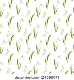 Spring first flowers, snowdrops flowers, seamless pattern, floral background, vector illustrations