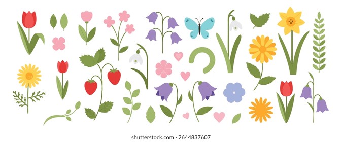 Spring Flora and Fauna Collection