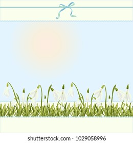 Spring floral abstract template background with Snowdrop flower and place for text Good idea for elegant poster, wedding invitation, easter postcard, birthday card, baby shower Vector illustration