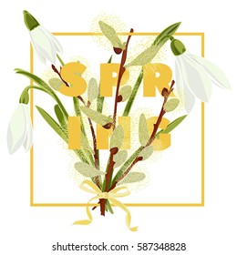 Spring floral background with beautiful snowdrop and pussy willow flower. Multicoloured greeting card with white, yellow and green color.Vector illustration