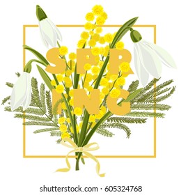 Spring floral background with beautiful snowdrop and mimosa flower. Multicolored greeting card with white, pink and green color. Vector illustration