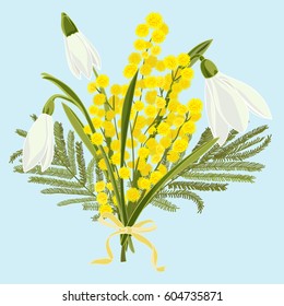 Spring floral background with beautiful snowdrops and mimosa flower. Multicoloured greeting card with white, pink and green color. Vector illustration