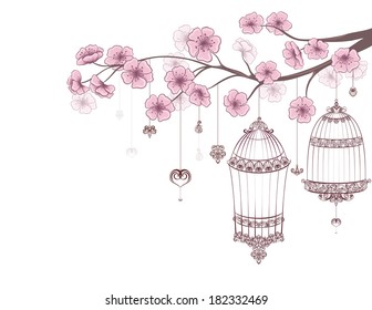 Spring floral background. Cages of birds on cherry branch in blossom isolated on a white. 
