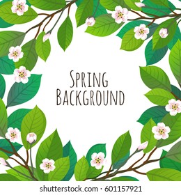 Spring floral background with cherry branches.