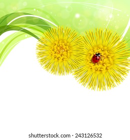 Spring floral background with coltsfoot and ladybug