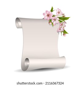 Banner floral de primavera con papel en blanco Scroll y flores de cerezo rosado florecientes para el diseño estacional de pancartas, volantes, afiches, sitio web. Ilustración del vector aislada en fondo blanco