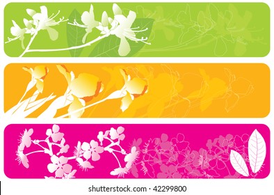 banners florais de primavera