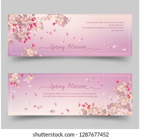 Spring Floral Banners. Abstract background with plum or cherry blossom. Flying petals on spring background. Flowers and petals in the wind.