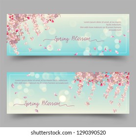 Spring Floral Banners. Abstract background with plum or cherry blossom. Flying petals on spring background. Flowers and petals in the wind.