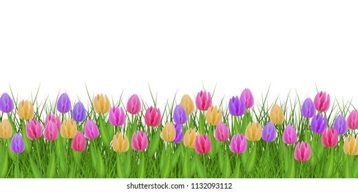 Spring floral border with colorful tulips on fresh green grass isolated on white background - decorative frame with beautiful seasonal flowers on greenery in vector illustration.