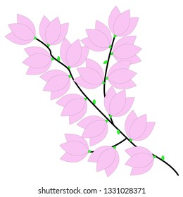 Spring floral branch vector illustration isolated on white background