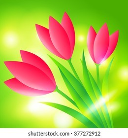Spring floral bright green background with tulips