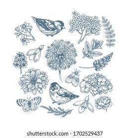 Spring floral collection. Design vector kit. Birds, flowers, butterflies. Botanical vintage illustration. Vector illustration