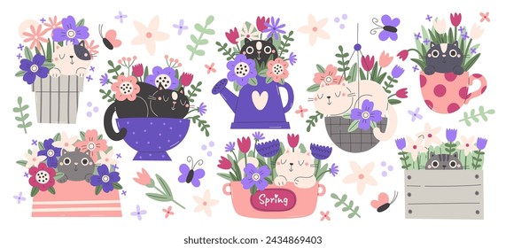 Spring floral compositions with cats and blossoming flower plants in pots set vector illustration. Potted houseplants with adorable lovely kitten pets sitting and sleeping in beautiful bouquets