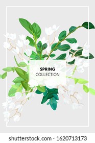 Spring floral eco design with white lily flowers, green leaves and succulent plants. Vector template for flyer, banner or card. Illustrated nature background.