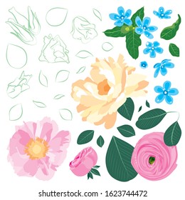 Spring floral gentle beautiful background