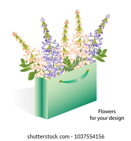 Spring floral greeting card design,element for invitation,birthday greetings.Branch of pink,violet  flower blossom Galega,fresh greenery inside a gift,shopping paper bag.Female concept.Vector.Isolated