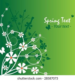 Spring Floral Illustration