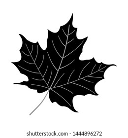 Spring Floral and Leaves bw Elements Collection