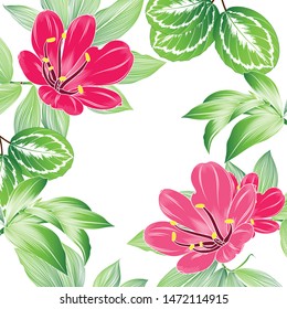 Spring floral pattern  with green leaves   and clivia flower.