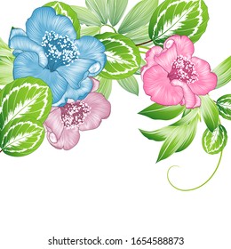 Spring floral pattern  with green leaves   and camelia flower.