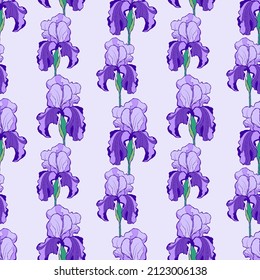 Frühlingsblumen nahtloses Muster mit violetten Reisen in Vektorgrafik gestrichen. Handgezeichnet zarter floraler Hintergrund im Skizzenbotanik-Stil. Textur für Gewebe, Textilien, Wickelpapier, Postkarten, Tapeten.