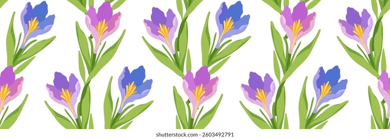 Spring Floral Seamless Pattern with Purple and Pink Flowers. Blooming crocus flowers with green leaves. Delicate botanical background for textiles, wrapping paper, wallpapers. Vector flat illustration