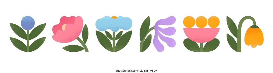 Spring floral set with bold flowers,botanical motifs and organic shapes.Modular blooms,plants and leaves with soft grain texture.Decorative spring collection for cards,posters,branding,packaging.