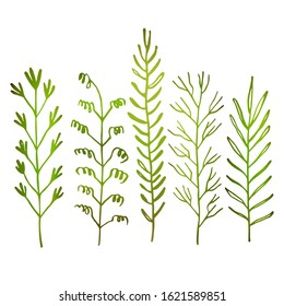 Spring floral set with green sprigs. Vector stock illustration. Template design for fabric, textile, wallpaper, posters, paper. Fashion print for children. Branch with leaves. Doodle style.