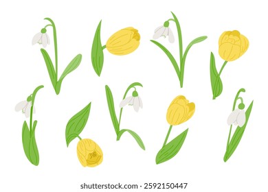 Spring floral set with yellow tulips and white snowdrops, hand drawn botanical elements in a flat style, perfect for seasonal designs, greeting cards. Vector set isolated on white background