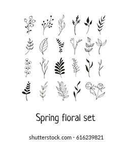 Spring floral set for your design. Isolated vector object on white.