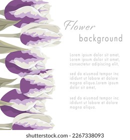 Spring floral vector illustration. Greeting realistic tulip flowers template, luxury flower background, international women day concept flyer, modern party design. Hand drawn watercolor bouquet.
