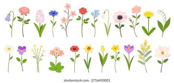 Conjunto de Vector floral de primavera con peonía, campanilla, jacinto, maiz, rama de cerezo, rosa, olvidame-no, gota de nieve, anémona, diente de león, manzanilla, violeta, tulipán, crocus, amapola. Ilustración vectorial