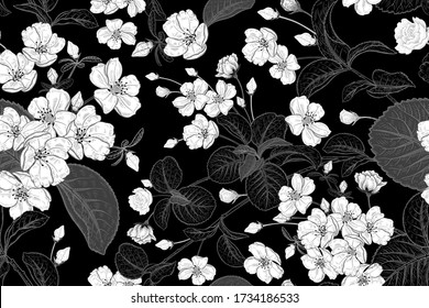 Spring floral vintage seamless pattern. Blooming Japanese cherry. Tree branches and cute bird. Vector illustration. Template for design textiles, paper, wallpaper. White flowers on black background.