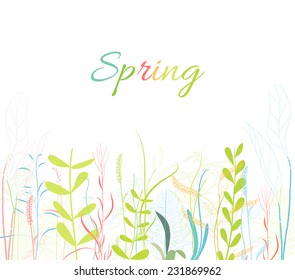 spring florals flower background