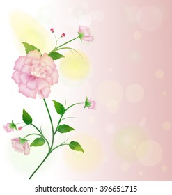 Spring and flower