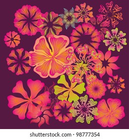 spring flower