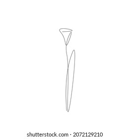 Spring flower background. Continuous line drawing. Vector illustration