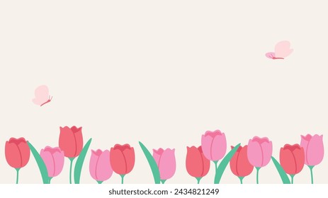 Spring flower background material, pink tulips