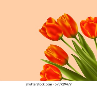 Spring flower background with red tulips. Vector illustration.
