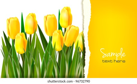 Spring flower background with ripped paper. Vector illustration.
