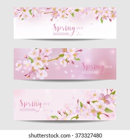 Juego de banderas de flor de primavera - Árbol de flores de cerezo - en vector