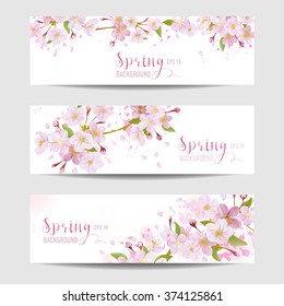 Juego de banderas de flor de primavera - Árbol de flores de cerezo - en vector