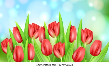 Spring flower beautiful background with realistic tulips. Vector stock illustration. Greeting spring card