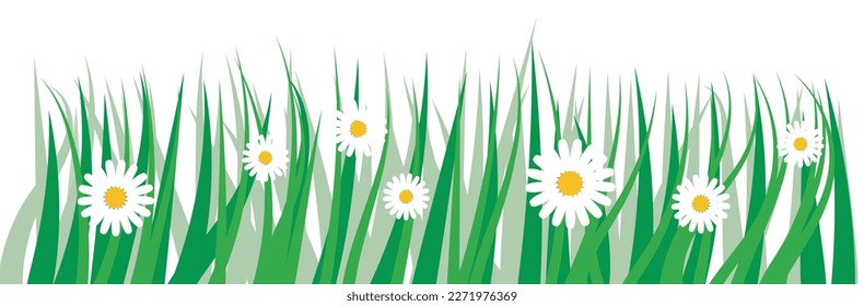 Frühlingsblütengrenze mit transparentem Rand, Gras, Federdekoration, weiße Blumen
