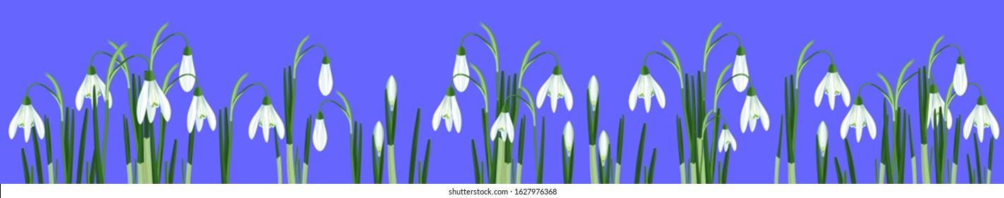 Spring flower border with white Snowdrop or Galanthus nivalis