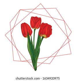 Spring flower bouquet. Red Tulips isolated on white background Realistic botanical sketch. Trending frame and place for text. Watercolor vector style. Women, mother days, 8 march, wedding design