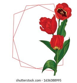 Spring flower bouquet. Red Tulips isolated on white background Realistic botanical sketch. Trending frame and place for text. Watercolor vector style. Women, mother days, 8 march, wedding design